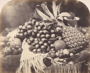 Stillleben mit Früchten, 1860 von Roger Fenton