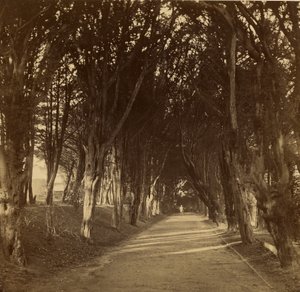 Der Dunkle Weg; Stonyhurst