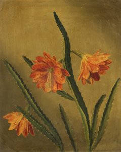 Studie von Blumen von Rolinda Sharples