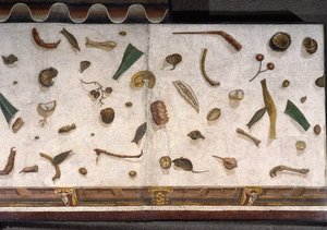 „Asarotos“ (unsauberer Boden) Fragmente eines Mosaiks signiert von Harakliton aus Rom, 2. Jahrhundert n. Chr., Rom von Roman