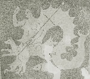 Hellenistisches Kieselmosaik von Skylla und Charybdis, die die Meerenge bewachen, Detail von Skylla, Haus des Dionysos, Paphos, Zypern von Roman