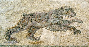 Jagdszene, Detail eines Bären, Haus des Dionysos, Paphos, Zypern von Roman