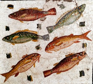 Römische Kunst: Mosaik, das Fische darstellt. 1. Jahrhundert v. Chr. Rom, Museo Nazionale Romano von Roman