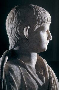 Togate Statue des jungen Nero, Seitenansicht des Kopfes, ca. 50 n. Chr. (Marmor) (Detail) von Roman