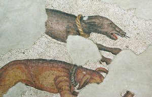 Unbekanntes Bild von Roman