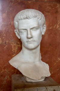 Büste des Kaisers Caligula (12 - 41 n. Chr.) von Roman Roman