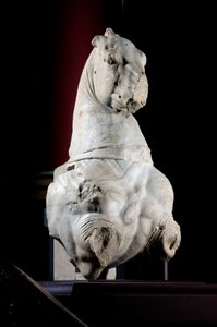 Vorderteil eines Pferdes von Roman Roman