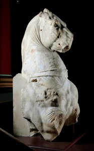 Vorderteil eines Pferdes von Roman Roman