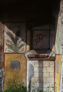 Blick auf ein Haus in der Via di Castricio, Pompeji (UNESCO-Welterbeliste) von Roman Roman