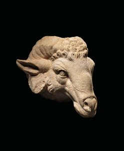 Kopf eines Widders, ca. 1. Jahrhundert v. Chr. - 1. Jahrhundert n. Chr. von Roman Roman