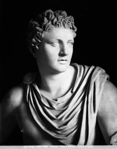 Meleagris (Detail), römische Kopie eines Originals von Skopas von Roman Roman