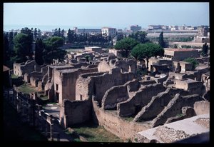 Panoramablick auf die archäologische Stätte von Roman Roman