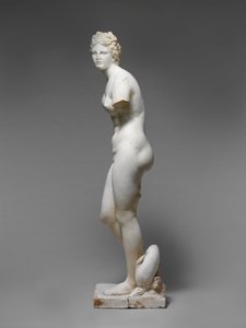 Statue der Aphrodite von Roman Roman