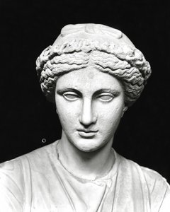 Statue der Clio, die eine Schriftrolle hält, Detail des Kopfes