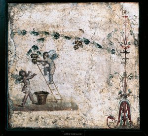 Fresko im dritten Stil, das Cupidos bei der Ernte zeigt, aus dem Haus des Marcus Lucretius in Pompeji von Roman Roman