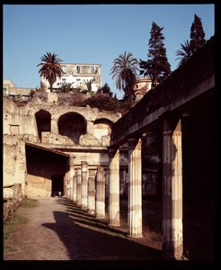 Blick auf die Palestra von Roman Roman