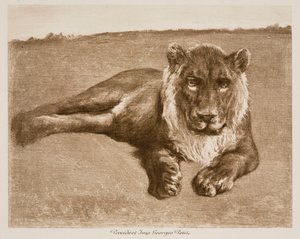 Löwe von Rosa Bonheur