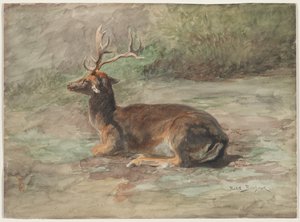 Liegender Hirsch, zweite Hälfte des 19. Jahrhunderts von Rosa Bonheur