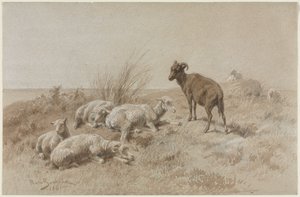 Schafe von Rosa Bonheur