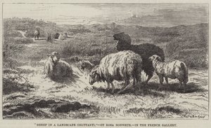Schafe in einer Landschaft, Bretagne