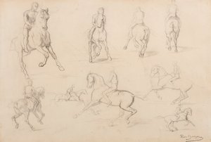 Studien eines Pferdes und Reiters