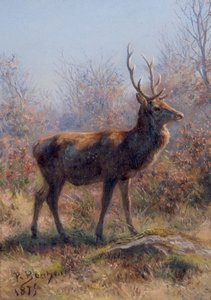 Der Hirsch von Rosa Bonheur