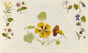Designs mit Kapuzinerkresse und anderen Blumen von Rosa Brett