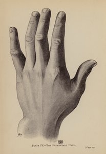 Die elementare Hand