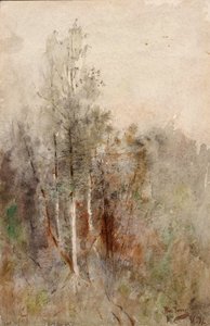 Baumstudie, 1879 von Ross Turner