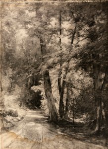 Photogravur einer Waldszene von Roswell Morse Shurtleff