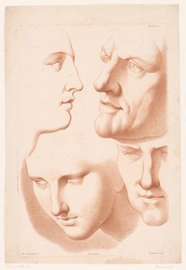 Köpfe von Mann und Frau