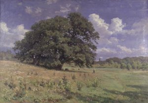 Große Eichen an einem Moor