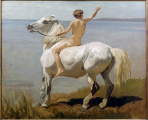 Junge auf einem weißen Pferd