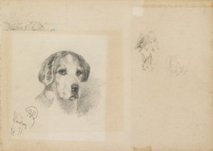 Porträt eines Hundes: Windsor, 1877 von Rudolf Wimmer