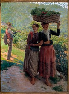 Leben auf dem Land, Verführungsszene in den Weinbergen der Toskana
