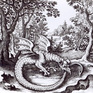 Ein Drache im Wald, aus 