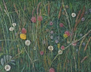 Pflanzen der Machair, 2008 von Ruth Addinall