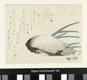 Leek im leichten Schnee von Ryuryukyo Shinsai