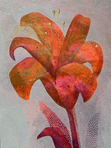 Lebendige Orangefarbene Lilie