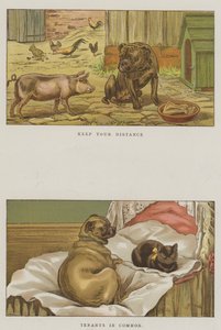 Humorvolle Hunde von S.T. Dadd