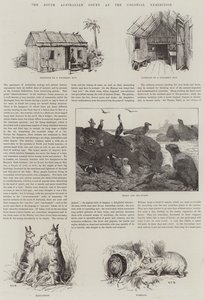 Der südaustralische Hof auf der Kolonialausstellung