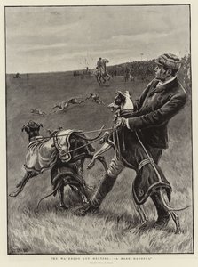 Das Waterloo-Cup-Treffen, A Rare Handful