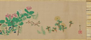 Blumen und Vögel der vier Jahreszeiten von Sakai Hoitsu