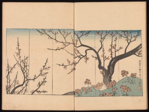 Kenzans Tintenspuren (Kenzan iboku) von Sakai Hoitsu