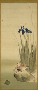 Iris und Mandarinenten von Sakai Hoitsu
