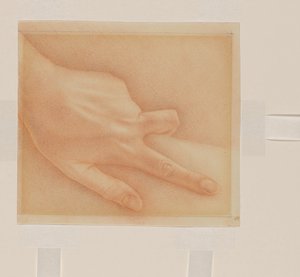 Hand von Sally Lohr