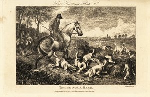 Berittener Jäger beobachtet ein Rudel Hunde, die nach Hasen graben von Samuel (after) Howitt