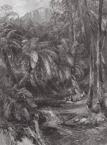 Australien: Ein Farnbaumtal von Samuel (after) Prout