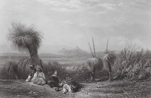 Australien: Grasbaumebenen von Samuel (after) Prout