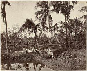 Dorfansicht in Bengalen, Indien